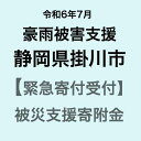 【ふるさと納税】【令和6年7月豪雨災害支援緊急寄附受付】静岡県掛川市災害応援寄附金（返礼品はありません）