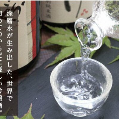 SSJ014　土佐深海 深層水酒 720ml×2本 ＜高知 芸西村 仙頭酒造場 酒 日本酒 土佐 しらぎく海洋深層水仕込み 吟醸酒＞