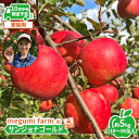 【ふるさと納税】【10月中旬クール便発送】青森県鰺ヶ沢町産りんご megumi farmのサンジョナゴールド 家庭用 約5kg（10～16玉入）　 果物類 フルーツ 人気 産地直送 世界自然遺産 酸味 甘口 安全 安心 　お届け：2024年10月10日～2024年10月15日