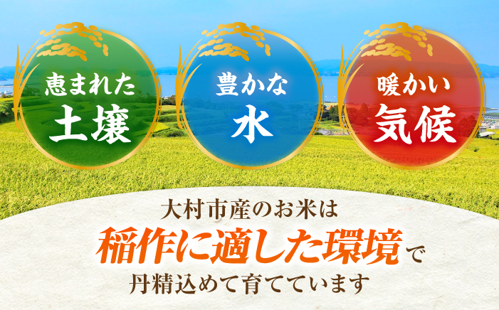【新米予約】 令和8年度 新米 5kg  / 米 白米 ご飯 / 大村市 / おおむら夢ファームシュシュ [ACAA008]