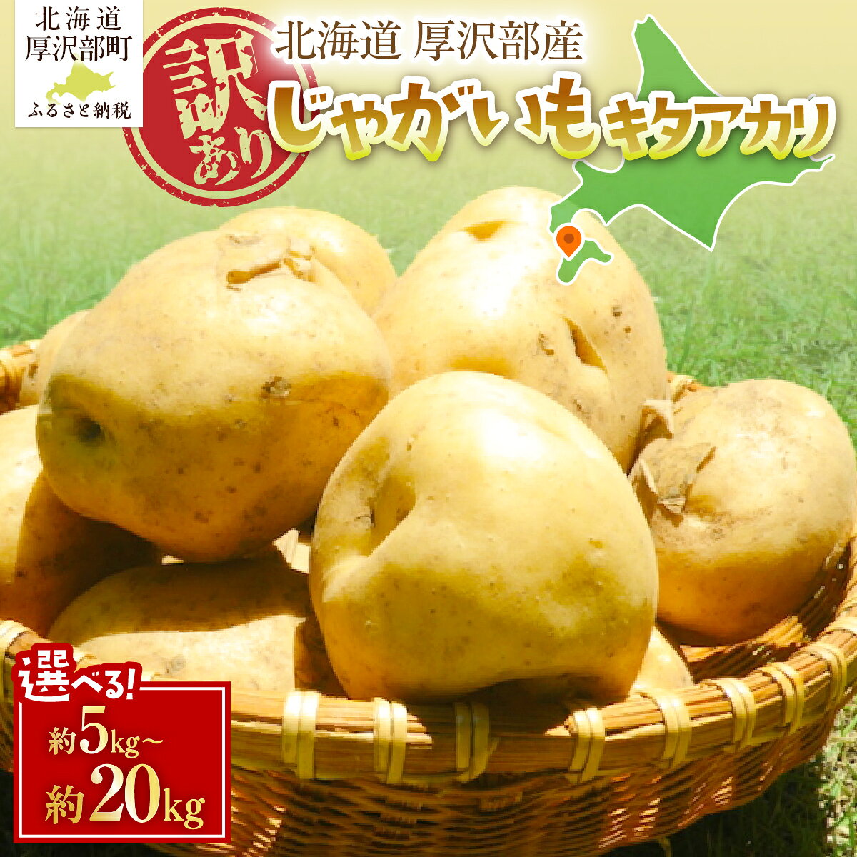 【ふるさと納税】【先行予約 令和8年7月発送】訳あり 北海道厚沢部町産 庄山農園のキタアカリ 選べる 5kg 10kg 15kg 20kg じゃがいも ジャガイモ 産地直送