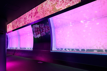 アクアワールド茨城県大洗水族館 年間パスポート 大人1名 小・中学生1名 大洗 チケット 券 アクアワールド 水族館_AQ010