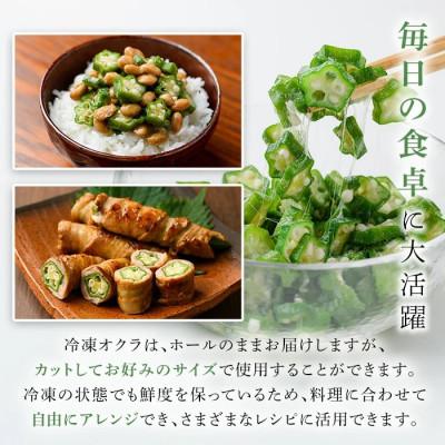 ふるさと納税 阿久根市 冷凍オクラ 計1kg 小分け【合同会社グッドフィールド】 |  | 01