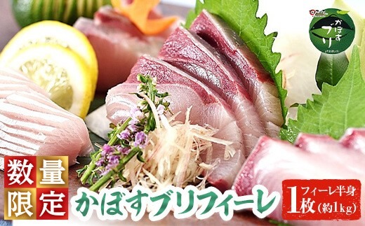 かぼすブリ フィーレ (1枚:約1kg) 期間限定 鰤 ブリ フィーレ 半身 魚 魚介類 養殖 大分県産 大分県 佐伯市【EW032】【Up】