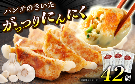 【お中元対象】【3パック】餃子屋ヒロの がっつりにんにく餃子【餃子屋ヒロ】開成町 餃子 点心 惣菜 冷凍[BDAS004-2]