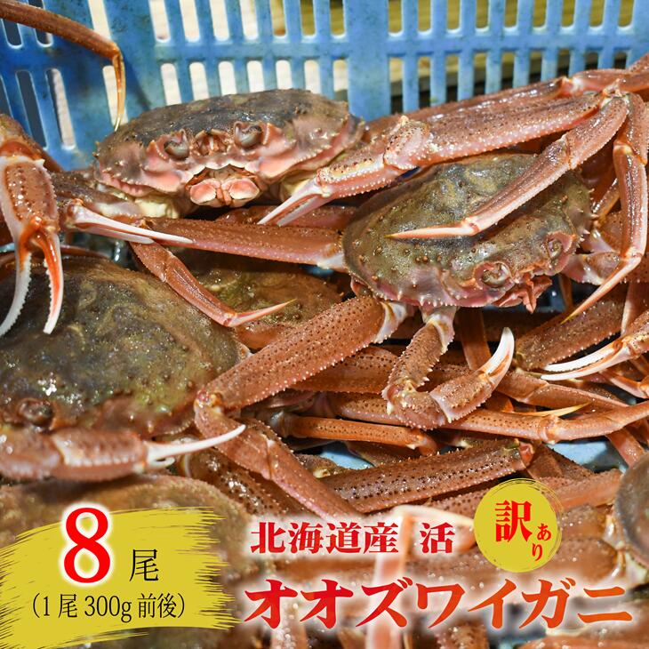 【ふるさと納税】訳あり 活オオズワイガニ300g前後×8尾[02-1566]※離島・沖縄県不可※ 北海道 浦河 ふるさと納税 オオズワイガニ カニ 活 漁協直送 冷蔵発送 送料無料