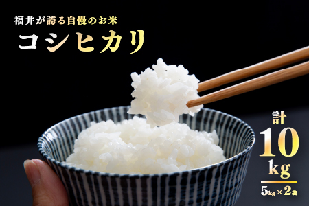 【数量限定！500袋限定販売！！】＜2025年11月以降 順次発送予定＞令和7年産 コシヒカリ 通常便（1回配送）計10kg（5kg×2袋）