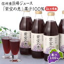 【ふるさと納税】信州産 巨峰ジュース 果汁100％　「紫宝の恵」 (1L×4本)　【 果実飲料 ジュース 飲料類 飲み物 フルーツジュース ぶどうジュース グレープジュース 添加物不使用 果汁100％ 】