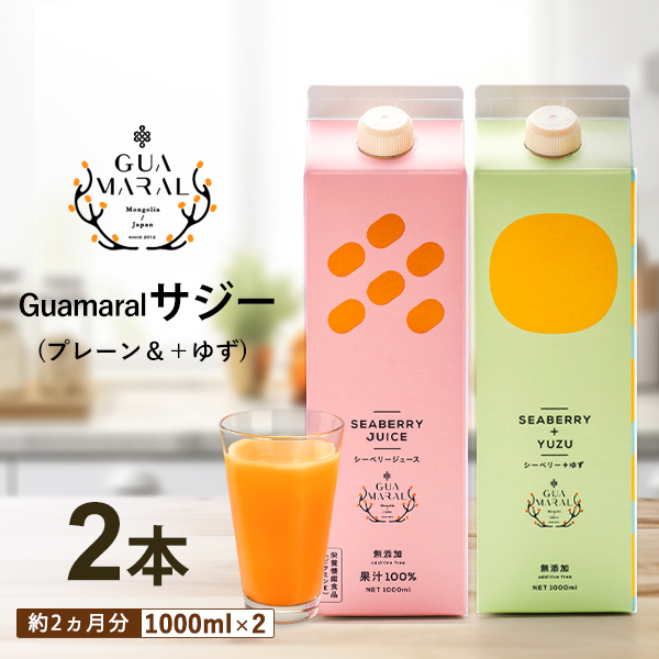 サジージュース 100%と+ゆず 1000ml×各1本セット（計2本）サジー シーベリー 沙棘 グアマラル 健康ドリンク 健康 美容 栄養 果汁 鉄分補給 栄養補給 健康食品_DX06