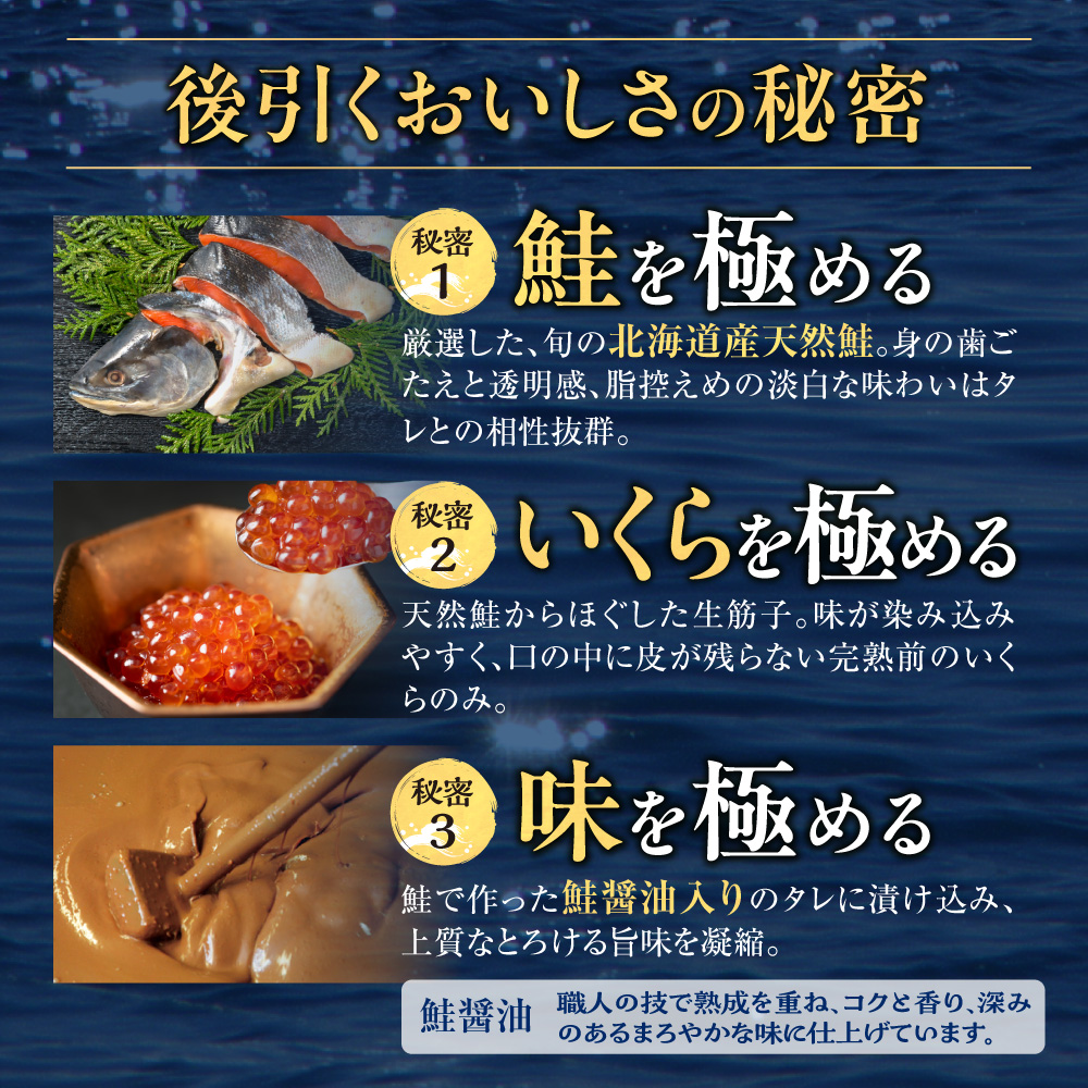 石狩市人気返礼品TOP2コンビセット(鮭ルイベ漬・ありがとうハンバーグ)  ｜  佐藤水産 さけ いくら ホクビー 牛肉 惣菜 北海道 石狩市