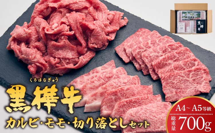 
                  黒樺牛 熊本県産黒毛和牛 A4～A5等級  焼き肉用 カルビ・モモ・切り落としセット 計700g 焼肉 BBQ 牛肉 A5 A4 3種 計700g 霜降り アウトドア セット キャンプ おかず 肉 焼き肉 カルビ モモ 切り落とし 食べ比べ 和牛 お肉 牛肉 黒毛和牛 国産 冷凍 杉本本店
                