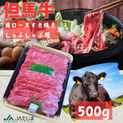 但馬牛　肩ローススライス(500g)【配送不可地域：離島】【1615678】