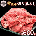 【ふるさと納税】常陸牛切り落とし約600g 【茨城県共通返礼品】 常陸牛 ブランド牛 [DS013sa]