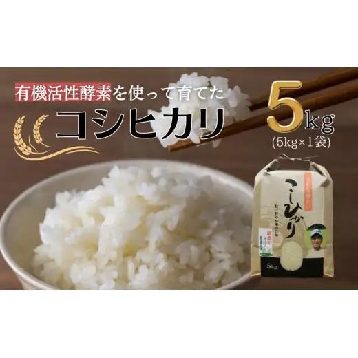  令和7年産 有機活性酵素を使用 新見産コシヒカリ 白米5kg×1袋