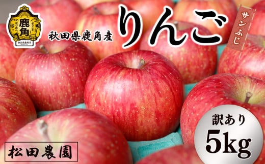 《先行予約》【訳あり】りんご「サンふじ」家庭用 小玉 5kg（20～23玉前後）【松田農園】●2026年2月上旬発送開始 農家直送 産地直送 こだわり りんご リンゴ 林檎 ふじ フジ 果物 くだもの フルーツ 秋田県 秋田 あきた 鹿角市 鹿角 かづの 5KG 5㎏