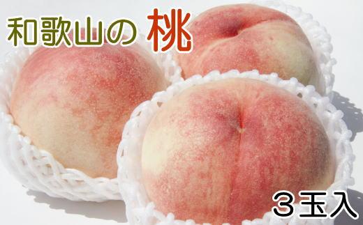 【産直・人気の特産品】和歌山の桃 3玉入り 約700g  ★2025年6月下旬から8月中旬頃順次発送★【TM93】