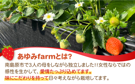 【5回定期便】【2025年1月〜発送】南島原産 いちご 「恋みのり」約260g×4P / イチゴ 苺 フルーツ 果物 / 南島原市 / あゆみfarm[SFF004] イチゴ 苺 いちご定期便 フルー