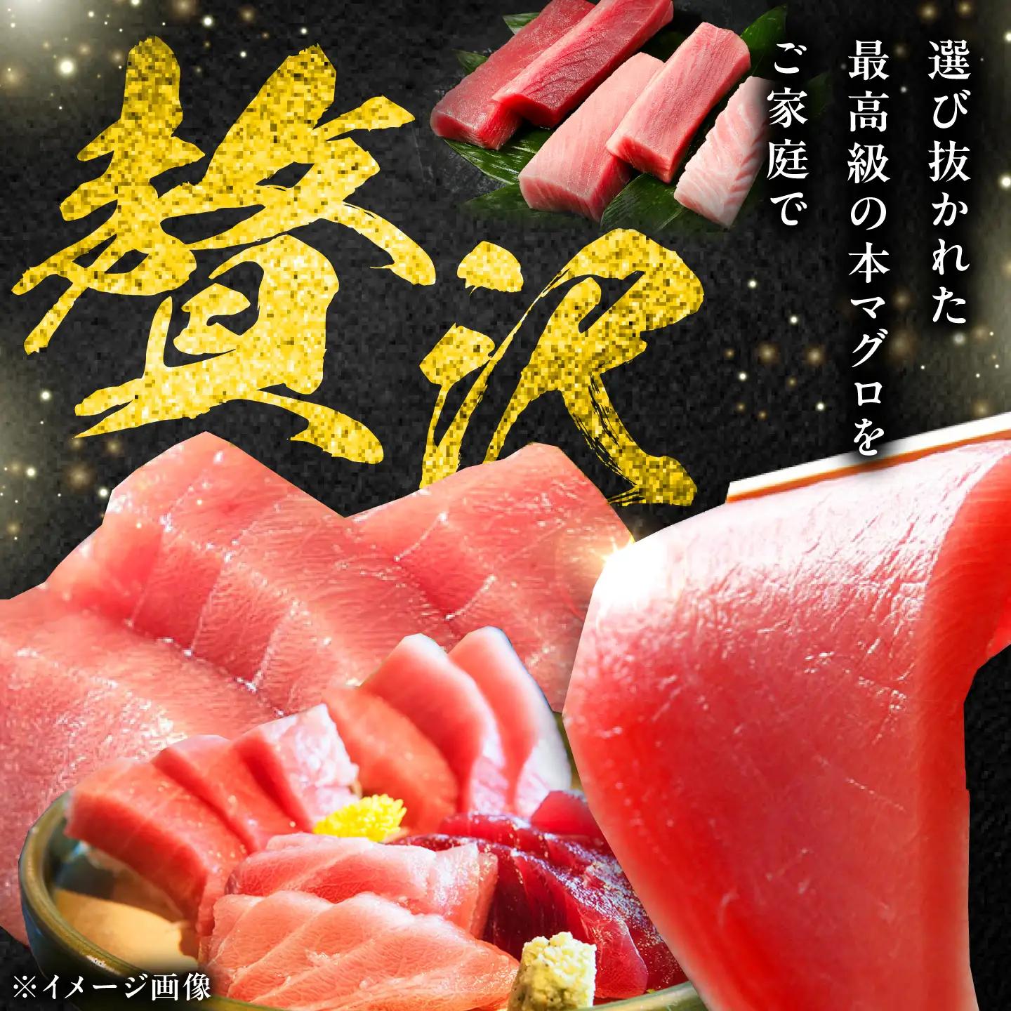 対馬産 生 本マグロ 800g （赤身、中トロ、大トロ） [WAH026] 中トロ 大トロ まぐろ マグロ 鮪