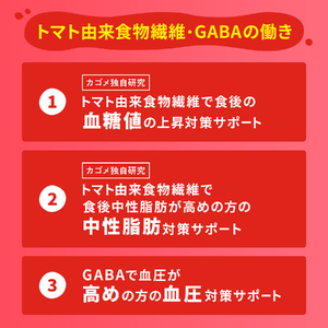 【 定期便6ヶ月連続お届け 】 カゴメ野菜一日これ一本トリプルケア 200ml×96 飲料 野菜ジュース 紙パック 機能性表示食品