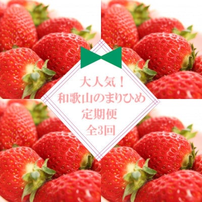 【発送月固定定期便】大人気のまりひめを満喫!300g×2パックを1月・3月・5月に発送全3回【配送不可地域：離島・北海道・沖縄】【4071001】