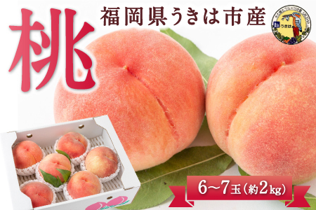 【先行予約】 道の駅うきは 桃 6玉から7玉 （約2kg） 【2025年7月中旬から8月上旬 出荷予定】 もも モモ 果物 くだもの フルーツ 果実 お取り寄せ 福岡県 うきは市