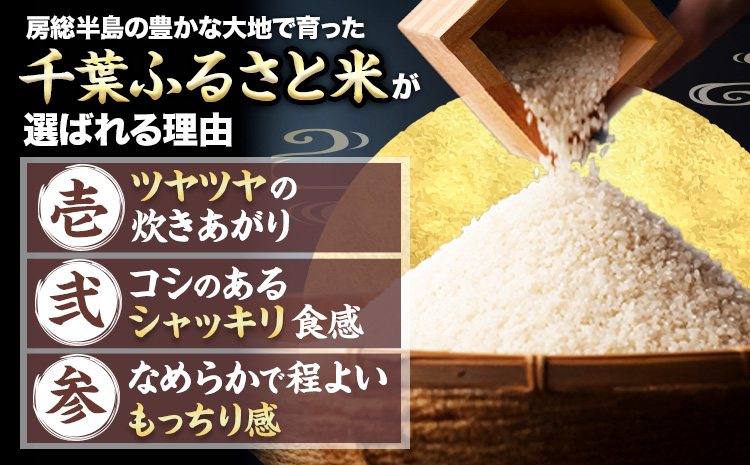 【12ヶ月定期便】米 千葉ふるさと米 5kg《お申込みの翌月から出荷》ブレンド米 千葉県 勝浦市 米 白米 精米 国産 お米 おこめ お弁当 おにぎり---kastuura_lcl_433_5kg_1