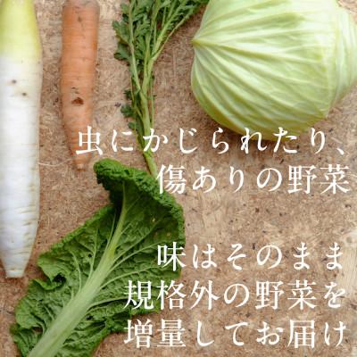 ふるさと納税 掛川市 【毎月定期便】しあわせ野菜畑のシェフS セット　(訳あり規格外の有機野菜を一部使用)全3回 |  | 03