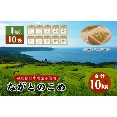 ながとのこめ　コシヒカリ　玄米1kg×10袋　小分け(12021)【1422610】