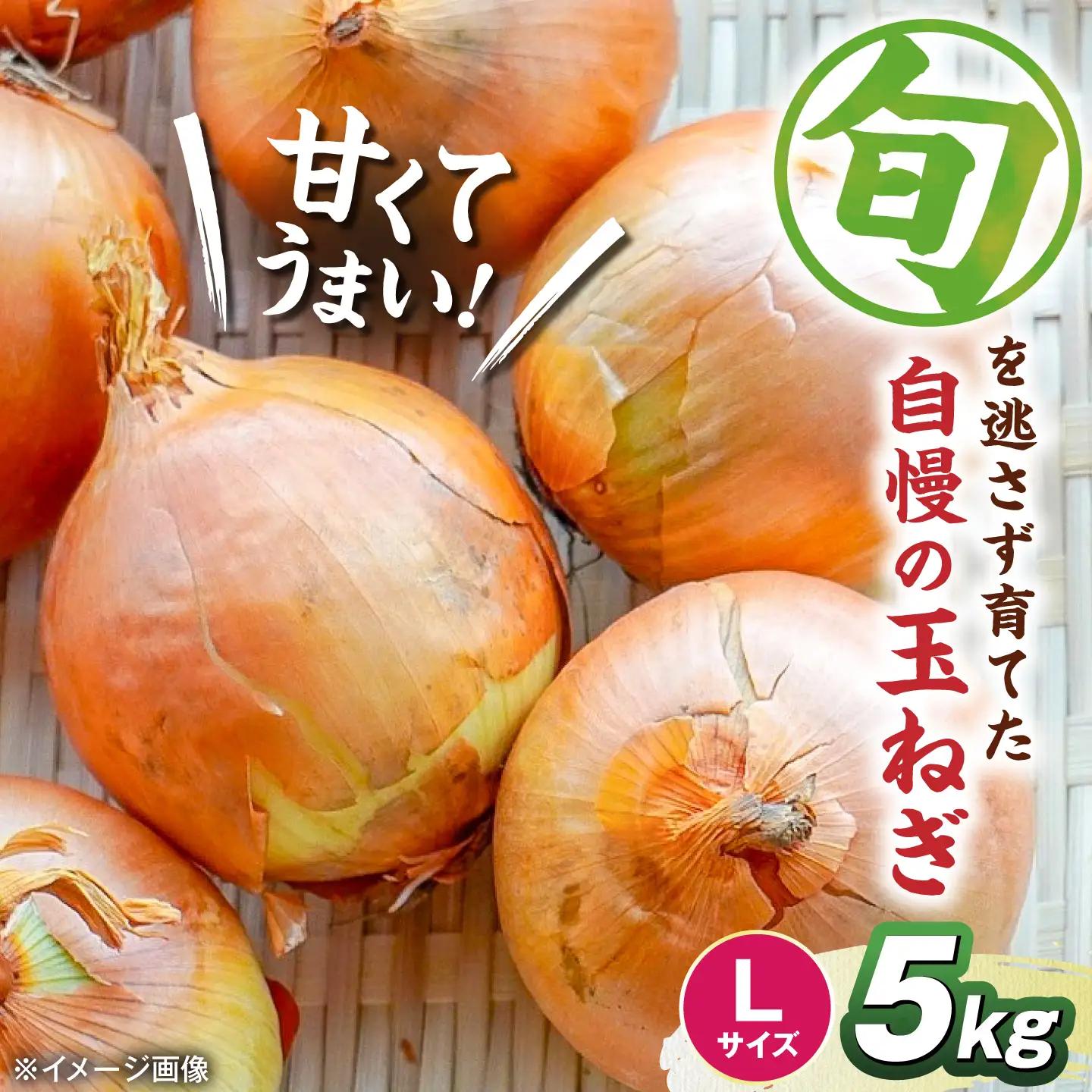 【先行予約】玉ねぎ5kg（Lサイズ）[AQDZ007]玉ねぎ