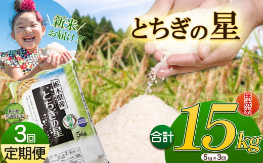 【3か月定期便】特A受賞！令和6年 新米 献上米にも選ばれたとちぎの星 無洗米 5kg | ふるさと 納税 栃木県産 とちぎの星 お米  精米 ミネラル 献上米 白米 無洗米 玄米 大粒 共通返礼品 送料無料 那珂川町 栃木県