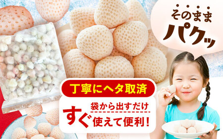 冷凍白いちご 1kg いちご 苺 イチゴ【配達不可：離島】 / くぼ苺農園[AECJ028]
