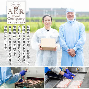 ハンバーグ ハンバーグセット 小分け 黒毛和牛 200g×5パック 【AKR Food Company】 a750