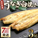 【ふるさと納税】【7日程度で発送】高知県産うなぎ白焼き 3尾(合計約360g)(無頭) - スピード発送 鰻 ウナギ 魚介 惣菜 おかず 山椒塩 のし ギフト お礼 御礼 感謝 贈答 贈り物 プレゼント 丑の日 うなぎ屋きた本 高知県 香南市【冷凍】un-0018