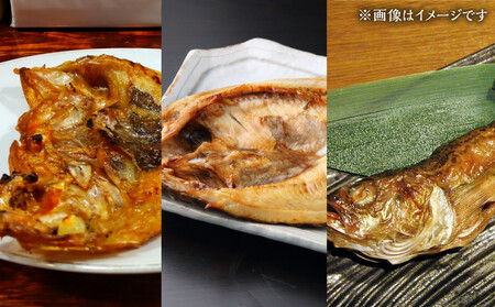 カネオ成栄丸のおまかせお魚BOX 海月(6種） ｜ お魚 お魚 お魚 お魚 お魚 