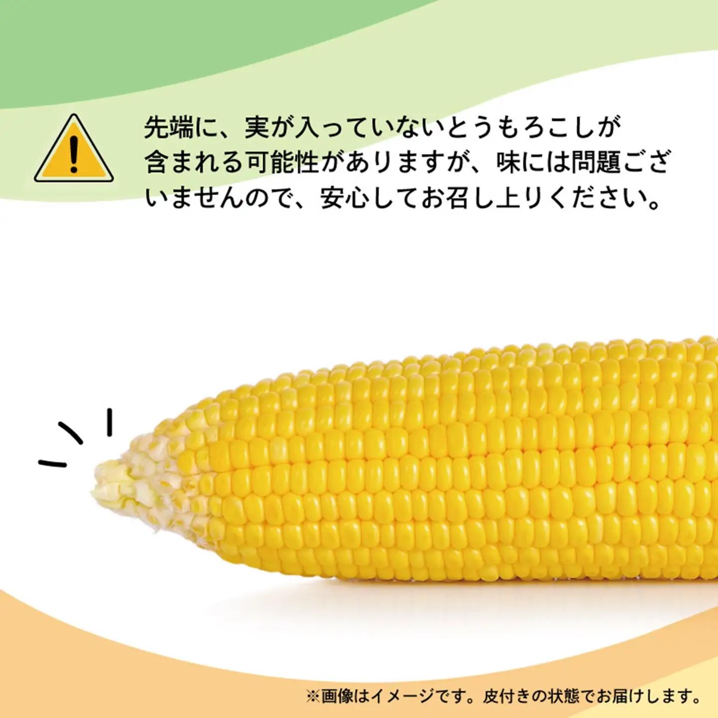 とうもろこし 20本 ゴールドラッシュ 【先行予約】 トウモロコシ