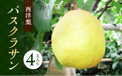 
                  梨 2024年 パスクラサン 4玉入り（西洋梨） 岡山県 赤磐市赤坂産 なし フルーツ 果物
                