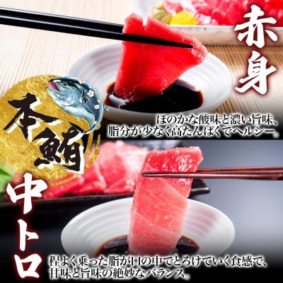 ふるさと納税 函館市 大間産 本マグロ 2種 赤身 約160g 中トロ 約160g_HD144-010 |  | 01