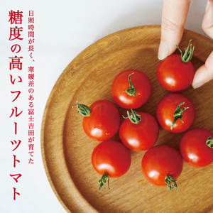 フルーツトマト「FUJITOMA」ボックスセット ミニトマト 野菜 フルーツ 高糖度 