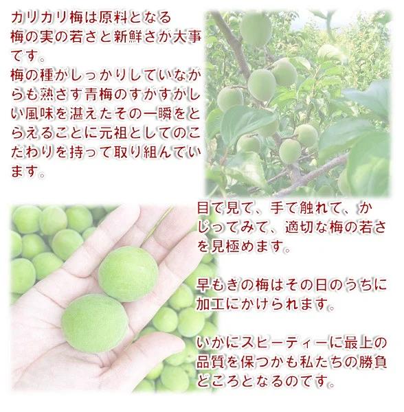 群馬県産の梅にこだわった逸品「ぐんまの甘梅」  | 梅 うめ カリカリ梅 青梅 国産 おやつ おつまみ 駄菓子 甘酸っぱい 個包装 前橋市 群馬県