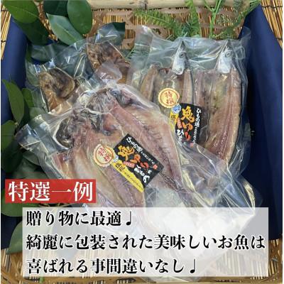 ふるさと納税 小田原市 特選!お任せ干物セット【竹】ご飯のお供は勿論、日本酒、焼酎のアテにピッタリ!【神奈川県小田原市早川】 |  | 01