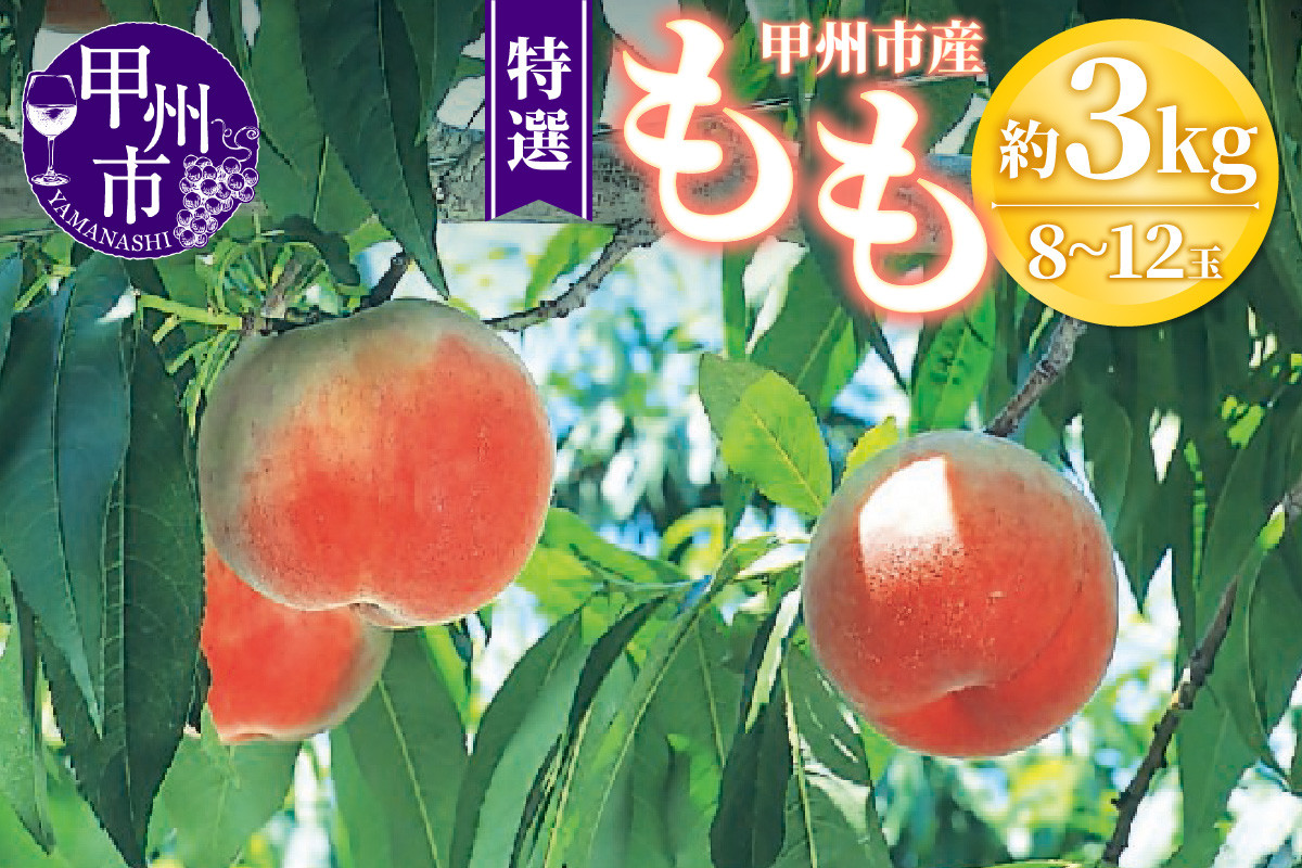 
            甲州市産 桃 約3kg 8～12玉（特選）【2025年発送】（OGN）C-1801【桃 もも モモ 令和7年発送 期間限定 山梨県産 甲州市 フルーツ 果物】
          