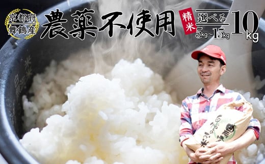 【令和7年度産 新米 先行予約】 棚田米 10kg 精米 栽培期間中農薬不使用 精米 京都 舞鶴 農家直送 コシヒカリ こしひかり 減農薬 低農薬 有機肥料 白米 お米 ご飯 米 棚田