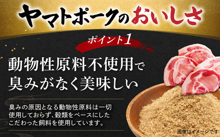 豚肉 ヤマトポーク ロース 1kg 豚肉 ポーク