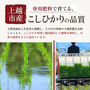 【7月中旬配送】上越市産 新潟 コシヒカリ 5kg こしひかり お米 精米 米 ご飯