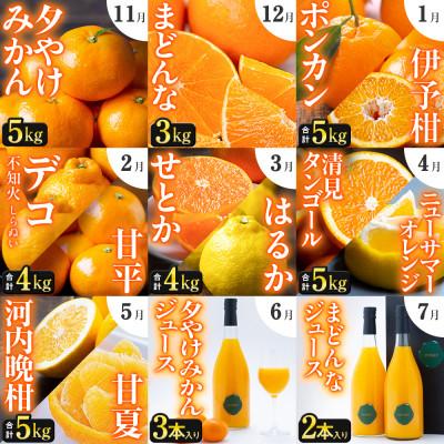 ふるさと納税 八幡浜市 【発送月固定定期便】「こたつの上の冬物語」驚異の全14種類!!【H49-75】全9回