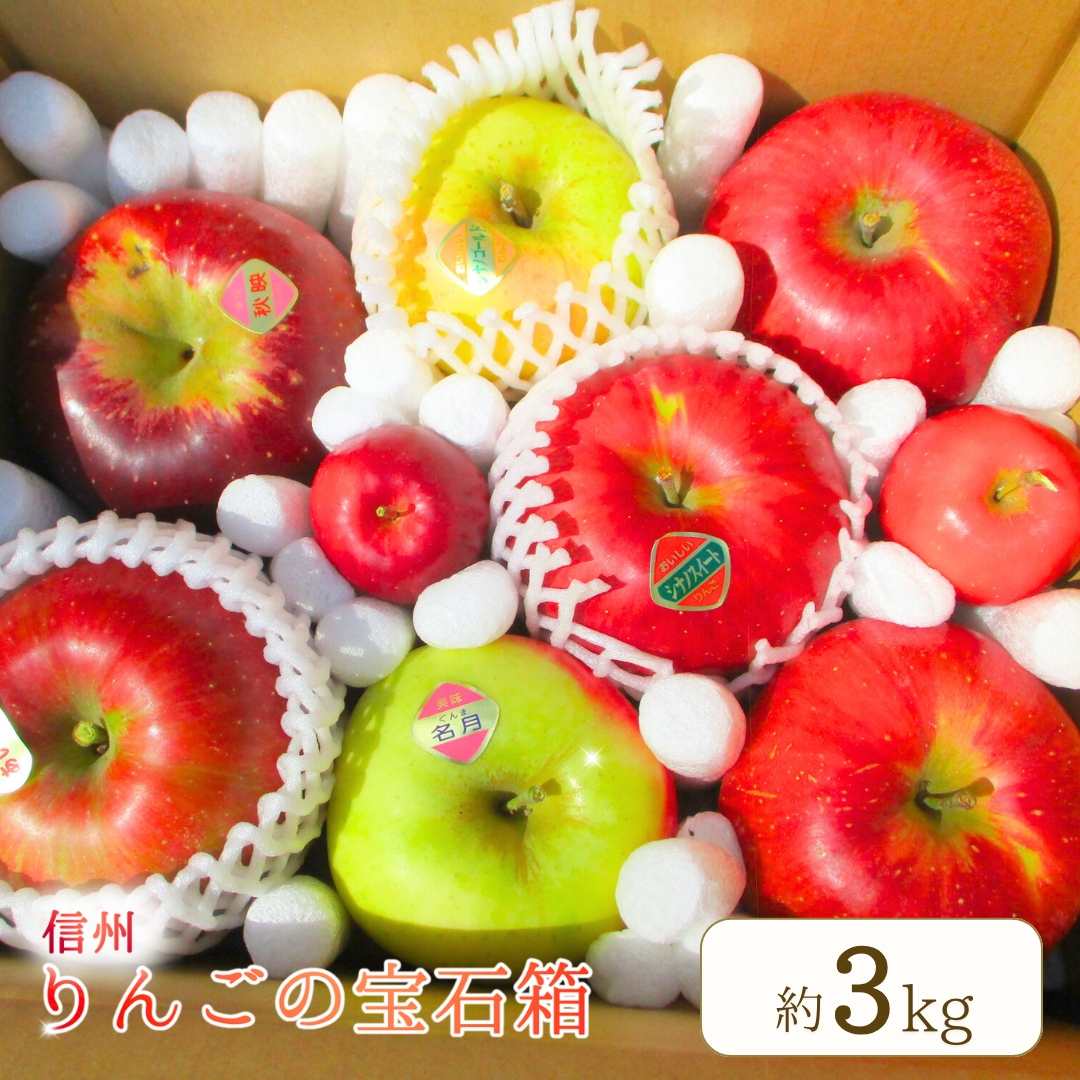 【2026年先行予約】りんご 園主におまかせ 詰合せ 計約3kg（8~11玉）りんごの宝石箱 ｜林檎 リンゴ 産地直送 シナノスイート シナノゴールド 秋映 あいかの香り 群馬名月 王林 紅玉 シナノホッペ サンふじ