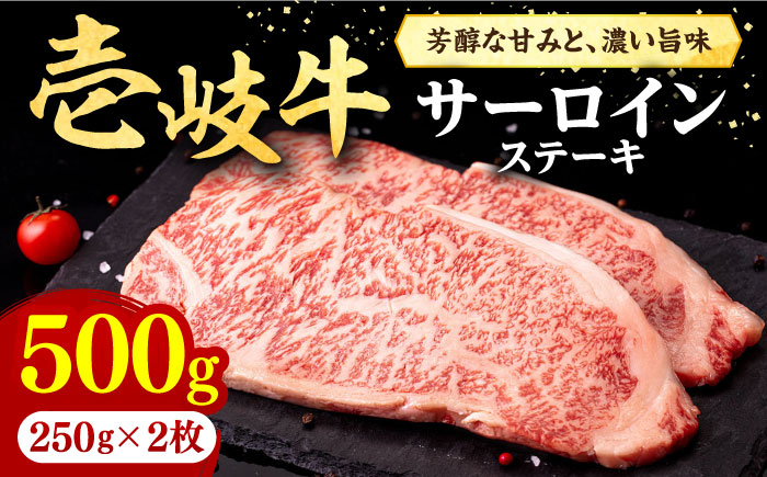 壱岐牛 サーロインステーキ 500g（250g×2枚）《壱岐市》【株式会社イチヤマ】 肉 牛肉 サーロイン ステーキ 焼肉 BBQ [JFE004] 30000 30000円