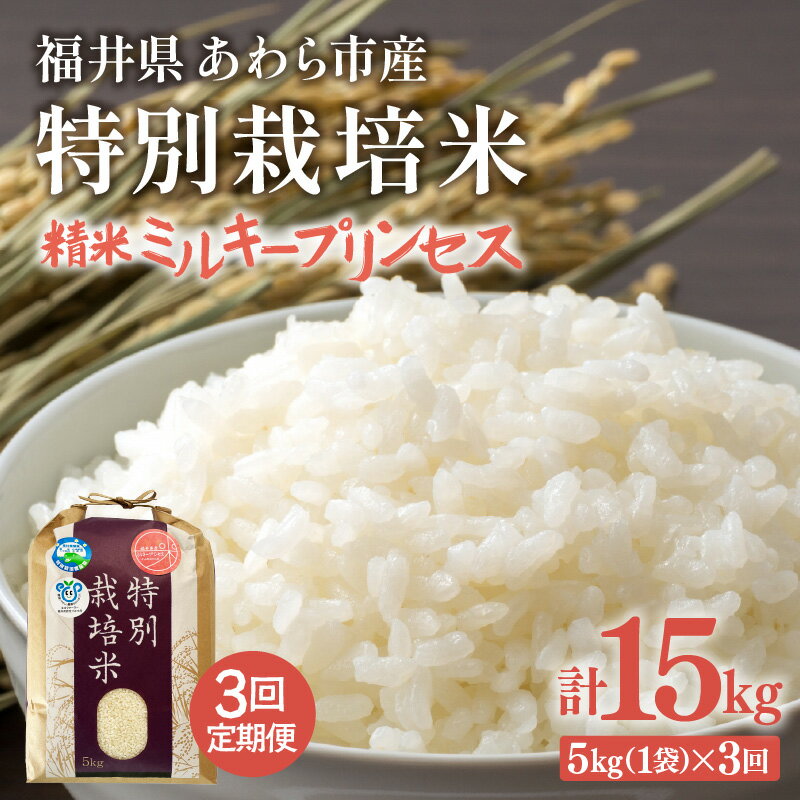 【ふるさと納税】【令和7年産】定期便 ≪3ヶ月連続お届け≫ 化学肥料不使用 特別栽培米 ミルキープリンセス 精米 5kg × 3回（計15kg） / 白米 米 福井県あわら市産 美味しい 特別栽培米 減農薬 安心な米 旨味 甘み もっちり