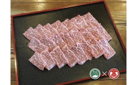 はなふさプレミアム鳥取和牛特選赤身焼肉用（大山ブランド会） 米子高島屋  100-C13 0260