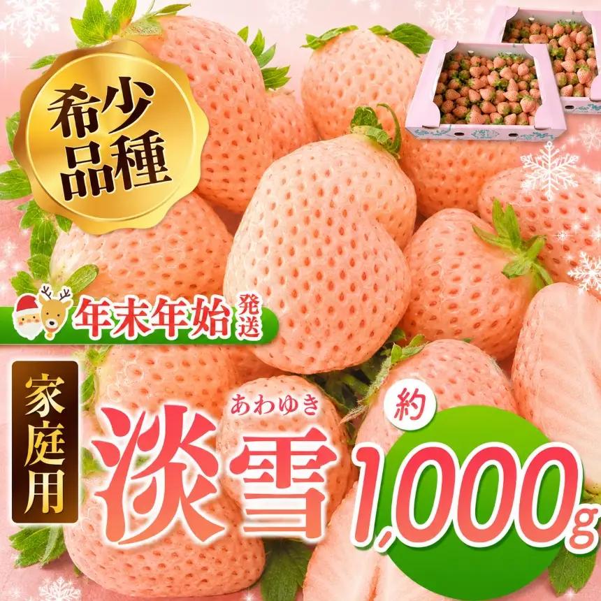 【年末年始発送】白いちご 淡雪 ご家庭用 約1000g ｜ 西谷農園